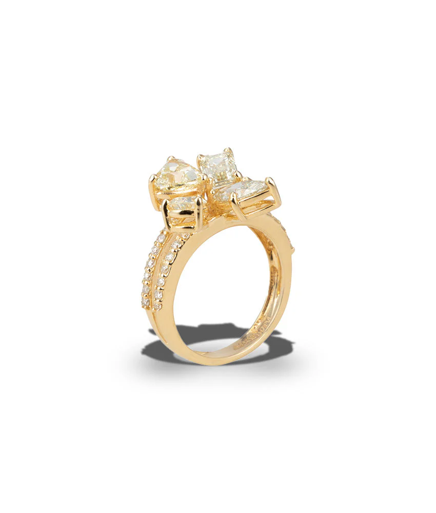 The Sunshine Ring - Image 4