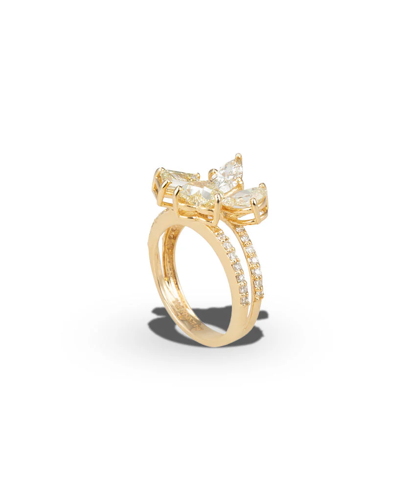 The Sunshine Ring - Image 5